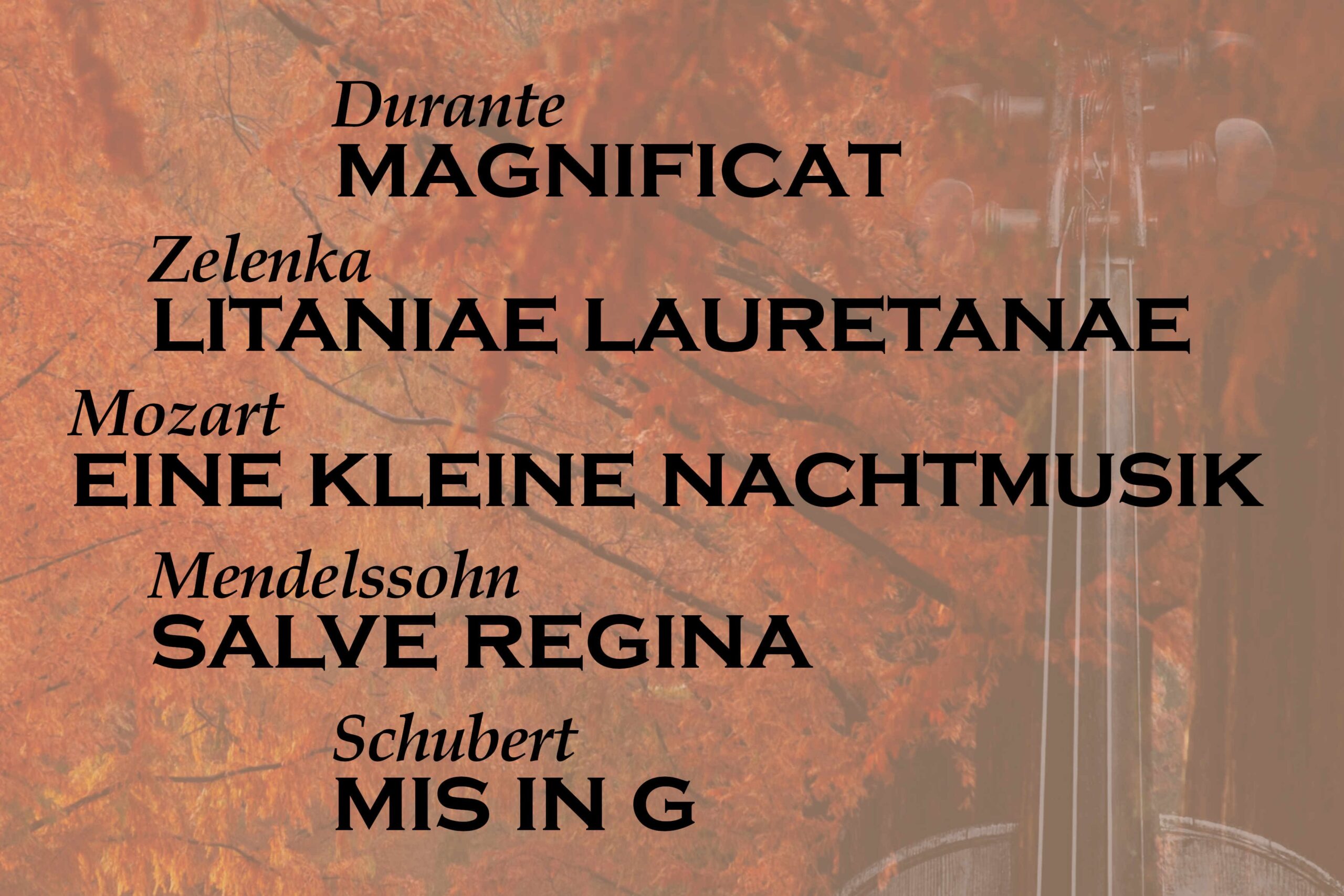 Najaarsconcert ’25